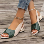 https://cdn.shopify.com/s/files/1/1037/6196/9489/files/76010e4b-370f-4c91-8f46-a2c00031a104_3837f261-28c6-4dd3-96fe-0f66c9eae62e.jpg?v=1781383403