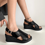 https://cdn.shopify.com/s/files/1/1057/5383/7908/files/7_791be3f2-c99b-4a20-bf68-4a5a254d0268.png?v=1785187829