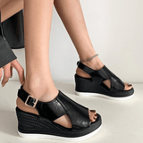 https://cdn.shopify.com/s/files/1/1057/5383/7908/files/7_791be3f2-c99b-4a20-bf68-4a5a254d0268.png?v=1785187829