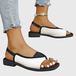 https://cdn.shopify.com/s/files/1/1057/5383/7908/files/7af15d60801840dbaf45d8c87d7aa84e_a6fd33b2-589f-471a-811a-1d9ae555e322.jpg?v=1785187381