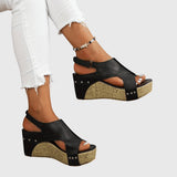 https://cdn.shopify.com/s/files/1/1057/5383/7908/files/7b8a9c131ec5418c811a9265eeeec586_e241290c-0504-48a0-81a1-78e839a8c6d2.jpg?v=1785187384