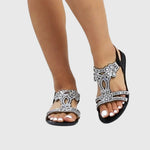 https://cdn.shopify.com/s/files/1/1037/6196/9489/files/7f6e38a42b674931a081621e4f1c438b_1e1a95da-2668-456b-b05e-d9424d5aa575.jpg?v=1781383414