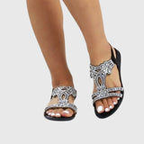 https://cdn.shopify.com/s/files/1/1037/6196/9489/files/7f6e38a42b674931a081621e4f1c438b_1e1a95da-2668-456b-b05e-d9424d5aa575.jpg?v=1781383414