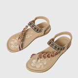 https://cdn.shopify.com/s/files/1/1057/5383/7908/files/88ee8003a55c4603b405e6ab84a2ea8c.jpg?v=1785187765
