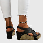 https://cdn.shopify.com/s/files/1/1057/5383/7908/files/9386e68d75ab4d3ba29d8f74d4370d2e_49e6105c-a357-421b-ad20-f34a96648ecc.jpg?v=1785187383