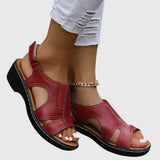 https://cdn.shopify.com/s/files/1/1057/5383/7908/files/94c3055791224acfb72ee66bd880ff3d.jpg?v=1785187334
