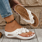 https://cdn.shopify.com/s/files/1/1037/6196/9489/files/9a935e7a2d13423bae4b180e02c923af-goods_a164a7b0-fce4-43db-a5e4-25dec9563549.jpg?v=1781383407