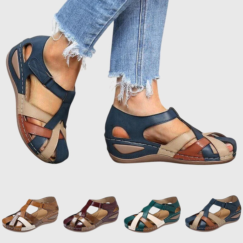 https://cdn.shopify.com/s/files/1/1057/5383/7908/files/9c6154dbb122413c84f82199e84131b4.jpg?v=1785187359