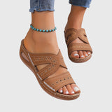 https://cdn.shopify.com/s/files/1/1057/5383/7908/files/9e0c99176314436093c4718739f5253f.jpg?v=1785187765