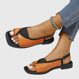 https://cdn.shopify.com/s/files/1/1057/5383/7908/files/9e3d3c7264514d4c85719b0f63823168.jpg?v=1785187381