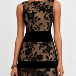 https://cdn.shopify.com/s/files/1/1037/6196/9489/files/BlackMeshLaceBoatNeckSleevelessA-LineMidiDress_2.png?v=1782852390