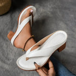 https://cdn.shopify.com/s/files/1/1037/6196/9489/files/DZEFZEFE_1_f68e8bf7-62ad-4785-93ca-13235d7042a8.webp?v=1780780588