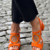 https://cdn.shopify.com/s/files/1/1037/6196/9489/files/IMG_4336_result.jpg?v=1783459054