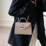 https://cdn.shopify.com/s/files/1/1037/6196/9489/files/Premium-Quality-Women-s-Handbag-2024-Spring-summer-New-Style-Trendy-Kara-Bag-Fashionable-Simple-Versatile_3bc18bb1-21c0-4146-89ee-cd10cf848cdf.webp?v=1783845576