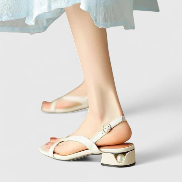 https://cdn.shopify.com/s/files/1/1057/5383/7908/files/S04c4dbaaaba14c93bf77ee5531539d867_720x_2_-Photoroom.jpg?v=1785187814