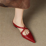 https://cdn.shopify.com/s/files/1/1037/6196/9489/files/S0e6b303399f04a24a2322f4885aa96c5P.jpg?v=1785792286