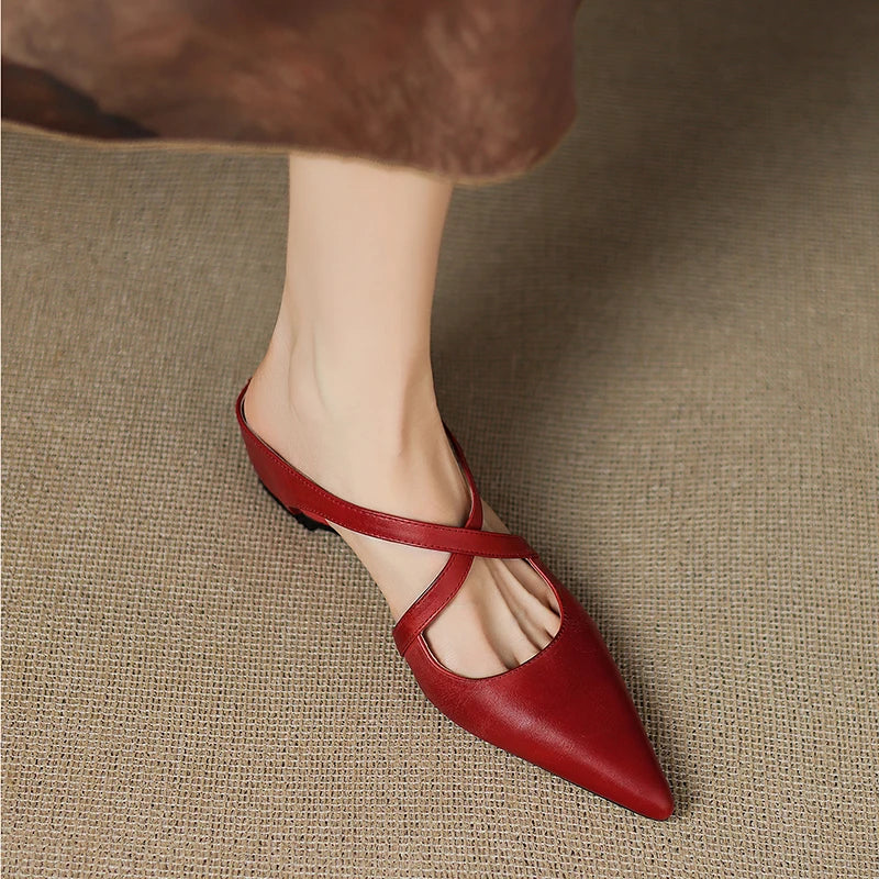 https://cdn.shopify.com/s/files/1/1037/6196/9489/files/S0e6b303399f04a24a2322f4885aa96c5P.jpg?v=1785792286