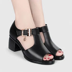 https://cdn.shopify.com/s/files/1/1057/5383/7908/files/S123417684eec462aa44f37199fbfa2fa8_720x-Photoroom.webp?v=1785187815