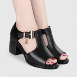 https://cdn.shopify.com/s/files/1/1057/5383/7908/files/S123417684eec462aa44f37199fbfa2fa8_720x-Photoroom.webp?v=1785187815