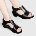 https://cdn.shopify.com/s/files/1/1057/5383/7908/files/S13c5994c3b12439ba21555765344bd2fh_720x-Photoroom.webp?v=1785187815