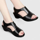 https://cdn.shopify.com/s/files/1/1057/5383/7908/files/S13c5994c3b12439ba21555765344bd2fh_720x-Photoroom.webp?v=1785187815