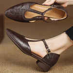 https://cdn.shopify.com/s/files/1/1037/6196/9489/files/S23855dc426c14afab2e92da36a765fc0S_3ab44272-68ac-4e49-ab9e-847ad6591a7e.webp?v=1782026314