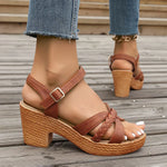 https://cdn.shopify.com/s/files/1/1037/6196/9489/files/S37c6c54f4b0d4b21a58ca50341da53cat.webp?v=1782842390