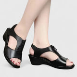 https://cdn.shopify.com/s/files/1/1057/5383/7908/files/S3ad7dd2e1cae49a098e410d7afaeef17e_720x-Photoroom.webp?v=1785187815