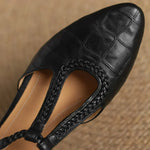 https://cdn.shopify.com/s/files/1/1057/5383/7908/files/S3f1801b7a9fe401793b38a18cf5a14f8p_dca2a04e-6333-457d-8776-4416b715ccd8.webp?v=1787404863
