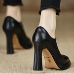 https://cdn.shopify.com/s/files/1/1057/5383/7908/files/S456f8aa2ce9a498f9a53d59809b21c732.webp?v=1787404874