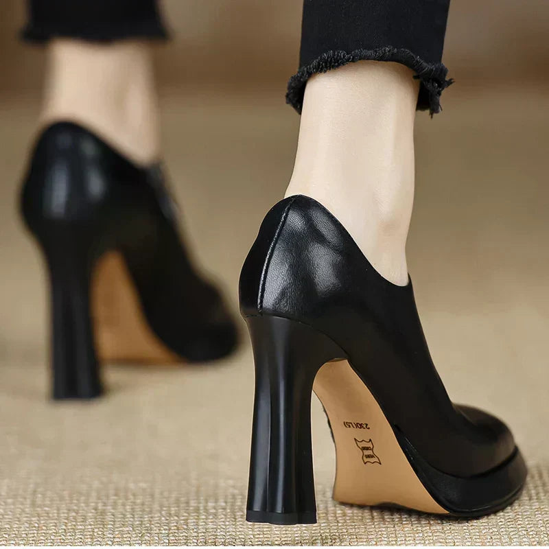 https://cdn.shopify.com/s/files/1/1057/5383/7908/files/S456f8aa2ce9a498f9a53d59809b21c732.webp?v=1787404874