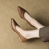 https://cdn.shopify.com/s/files/1/1057/5383/7908/files/S5f5d911b25bb4fe6850ae5a0d06ab3e2s.jpg?v=1787404879