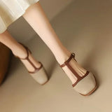 https://cdn.shopify.com/s/files/1/1057/5383/7908/files/S6ccc7987f54d4a96a4e5dba7959f34526_05d7d58e-7717-4216-9091-06fb019647e1.webp?v=1787404870