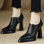 https://cdn.shopify.com/s/files/1/1057/5383/7908/files/S719db8c2067345b9914e48b34bfd8de0M.webp?v=1787404874