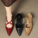https://cdn.shopify.com/s/files/1/1037/6196/9489/files/Sb2b8a6d56832468b92df58d01c47ba58t.jpg?v=1785792286