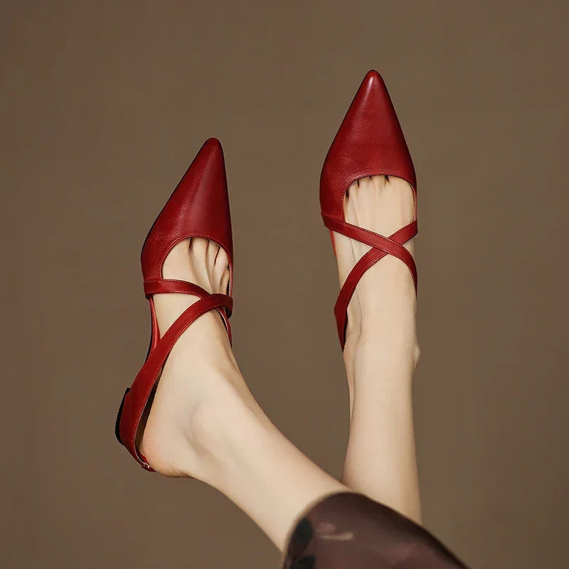 https://cdn.shopify.com/s/files/1/1037/6196/9489/files/Sb75e76d75d7a43e4bc0c8a6f395f06bb4.webp?v=1785792285