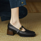 https://cdn.shopify.com/s/files/1/1057/5383/7908/files/Sbb233946c58b462cadf194d9b02ab7fe0.webp?v=1787404868
