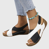 https://cdn.shopify.com/s/files/1/1037/6196/9489/files/a8e2e013e1334fba8cade4d8f6c3b24a_260f82b4-81e3-459e-a60e-4ef8e08914a4.jpg?v=1781383405