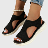 https://cdn.shopify.com/s/files/1/1057/5383/7908/files/ae184a1a6b12481eb8b3f12548d9a7df_b627a326-fe6b-4d5a-aeec-f4ab5cade7b0.jpg?v=1785187357