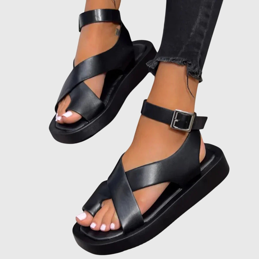 https://cdn.shopify.com/s/files/1/1057/5383/7908/files/ae425e061be34f8bb5714901f1ec0d4a.jpg?v=1785187786