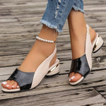 https://cdn.shopify.com/s/files/1/1037/6196/9489/files/b0726781-e777-4699-8fc3-1f0ebea85b7a_2e90b2f2-8c7e-487d-ac33-155924aff6d9.jpg?v=1781383402