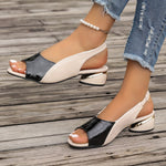 https://cdn.shopify.com/s/files/1/1037/6196/9489/files/b139e00f-96ea-4734-a6a5-d95d901973e7.jpg?v=1780780588