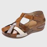 https://cdn.shopify.com/s/files/1/1057/5383/7908/files/b1c1d2ac27c64d6e9726c8718ab7c21f_8cf603fd-9417-434f-ad1c-eed69e2fc72c.jpg?v=1785187358
