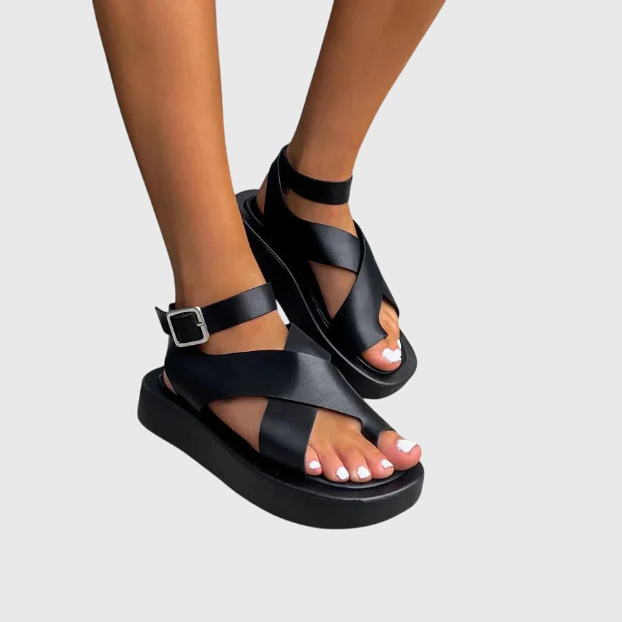 https://cdn.shopify.com/s/files/1/1057/5383/7908/files/b2b0040696574a7d8de4af89c6ea2637.jpg?v=1785187785
