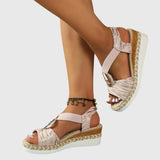 https://cdn.shopify.com/s/files/1/1057/5383/7908/files/b3f4f383fce448aba795eff0c25d556d_2186dfd9-154a-4748-b9c9-569b19fbbe02.jpg?v=1785187384
