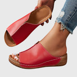 https://cdn.shopify.com/s/files/1/1037/6196/9489/files/b8d366c6f38c41c0a03718ac7d7b183b.jpg?v=1780780590