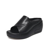 https://cdn.shopify.com/s/files/1/1037/6196/9489/files/black_85de11af-7f8e-4bae-9900-b42bf31c711d.webp?v=1781725369