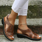 https://cdn.shopify.com/s/files/1/1057/5383/7908/files/brown_1000x_203a95e9-516c-4767-b77c-b7c97c3fc212.webp?v=1785187833