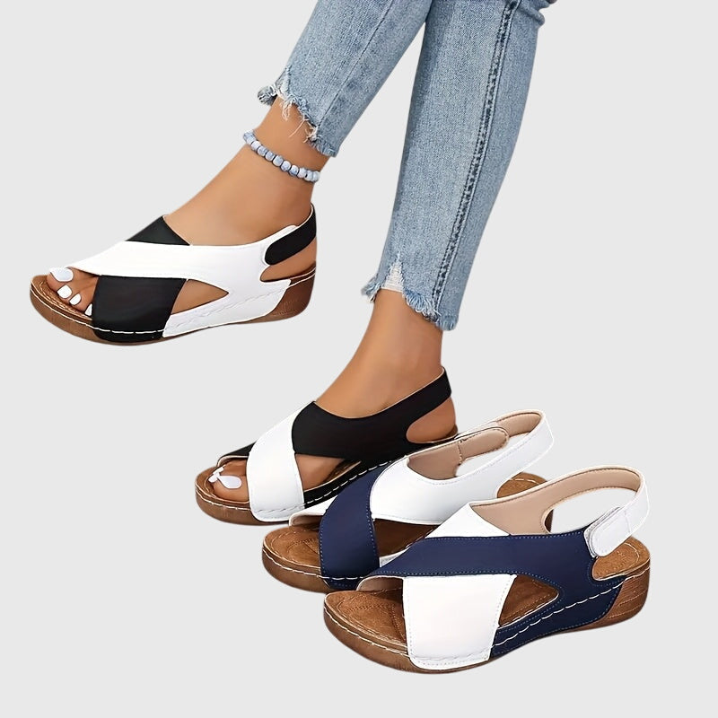 https://cdn.shopify.com/s/files/1/1057/5383/7908/files/c392979eed20439b8f49871bd44a0723_4be538ec-75e2-4d6a-99a6-2b479d7bb588.jpg?v=1785187334