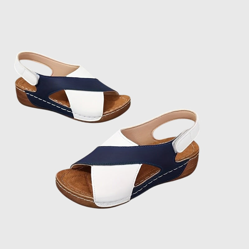 https://cdn.shopify.com/s/files/1/1057/5383/7908/files/c53a691b7a8941ca9b55e92a955ab6c4.jpg?v=1785187828